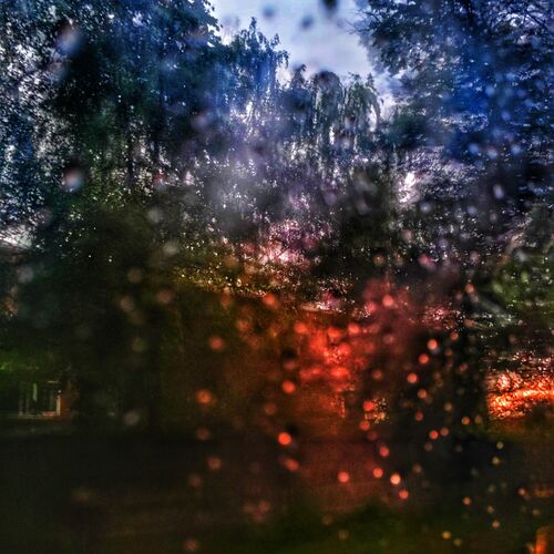 Photo #9751210