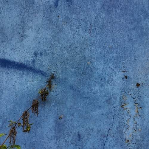 Photo #9751212