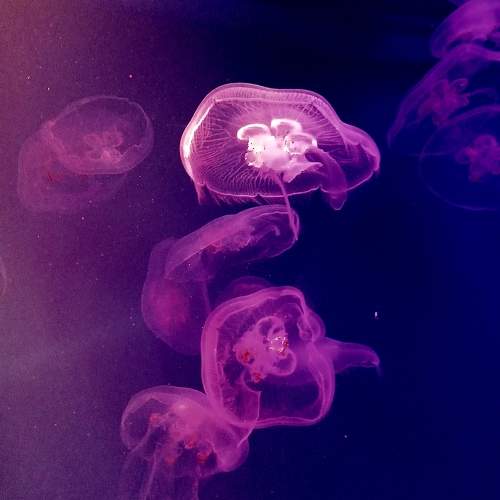 Photo #9751803