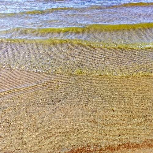 Photo #9751805