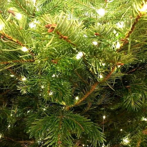 Photo #9751812