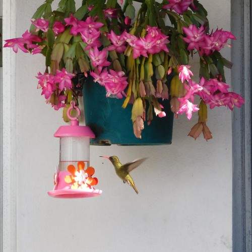 Photo #9752299