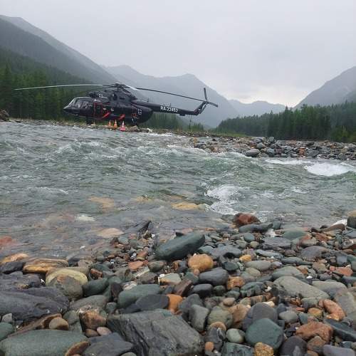 Photo #9752418