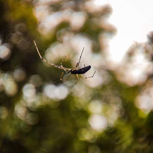 Photo #9752526