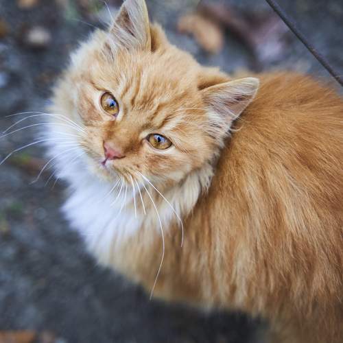 Photo #9752539