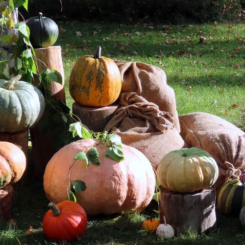 Photo #9752984