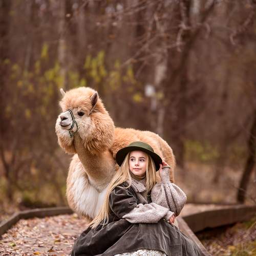 Фотография #9753090