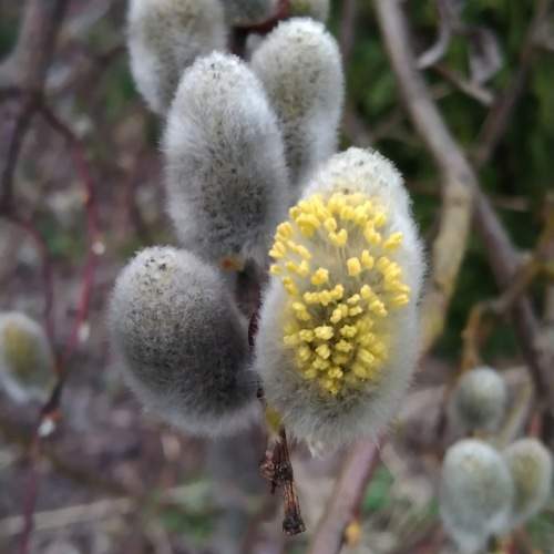 Photo #9753172