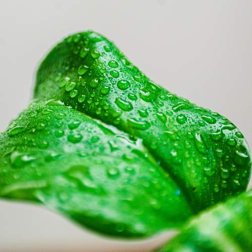 Photo #9753206