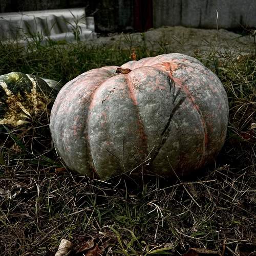 Photo #9753208