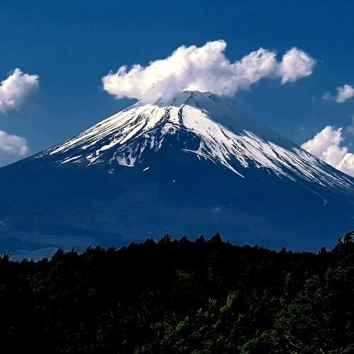 Photo #9753326