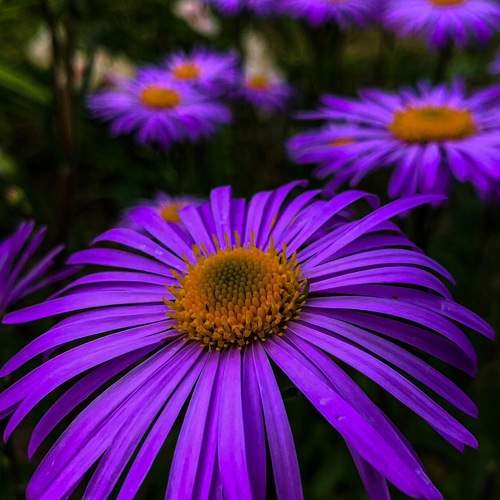 Photo #9753391