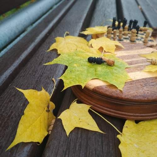 Photo #9753616