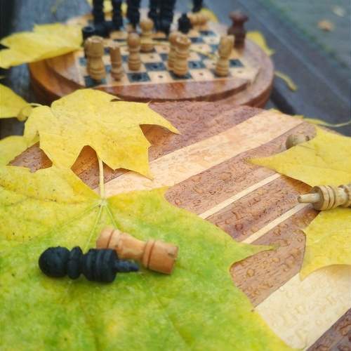 Photo #9753661