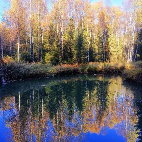 Photo #9753756