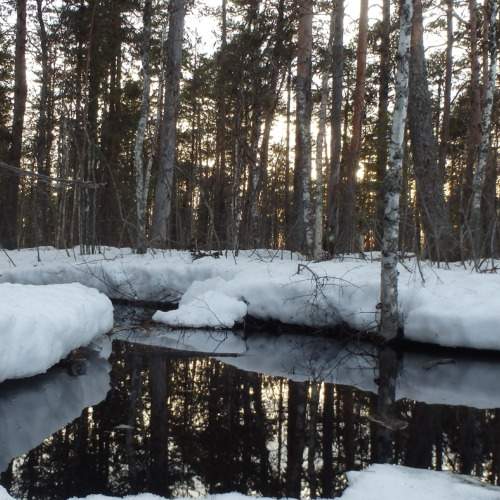 Photo #9753757