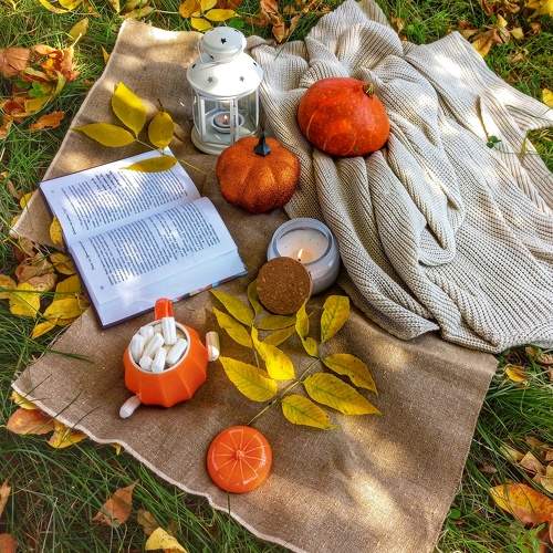 Photo #9753839
