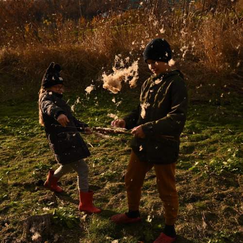 Photo #9753899
