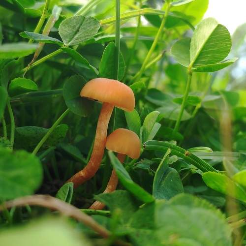 Photo #9753981