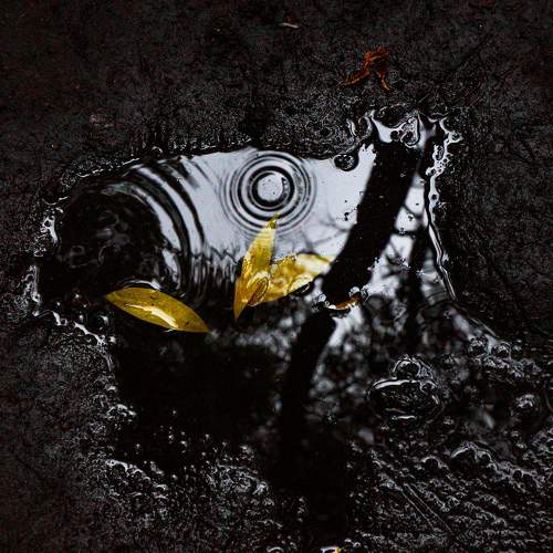 Photo #9754096