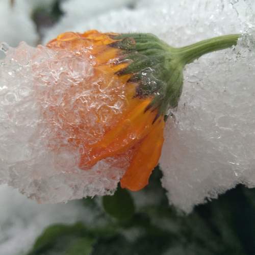 Photo #9754156