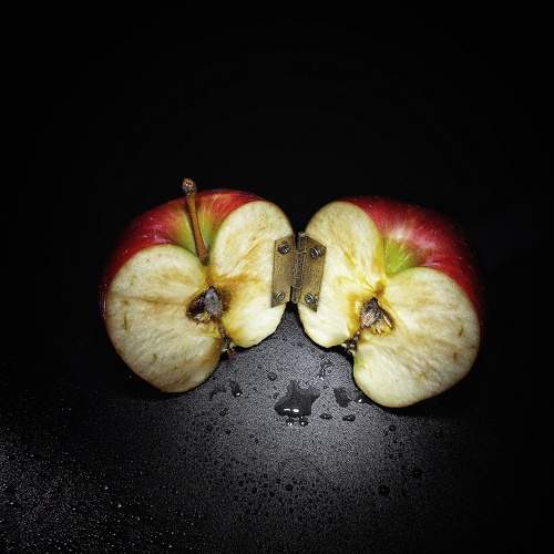 Photo #9754599