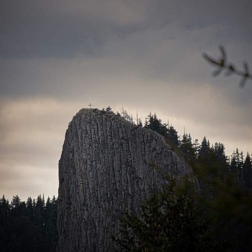 Photo #9754962