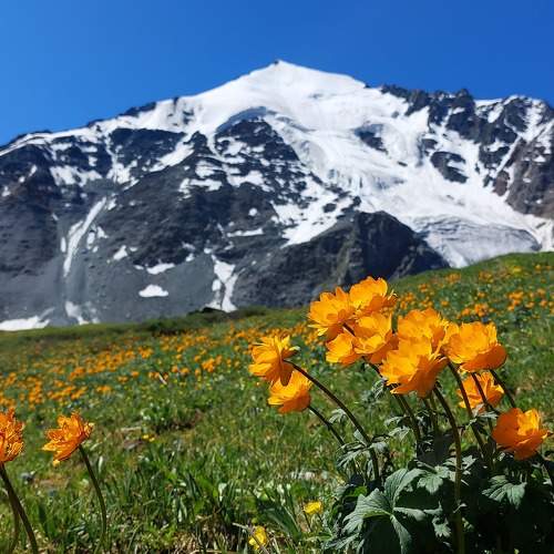 Photo #9755284