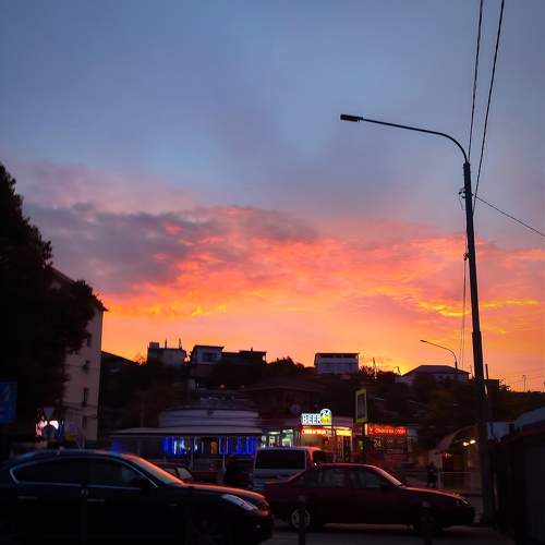 Photo #9755919