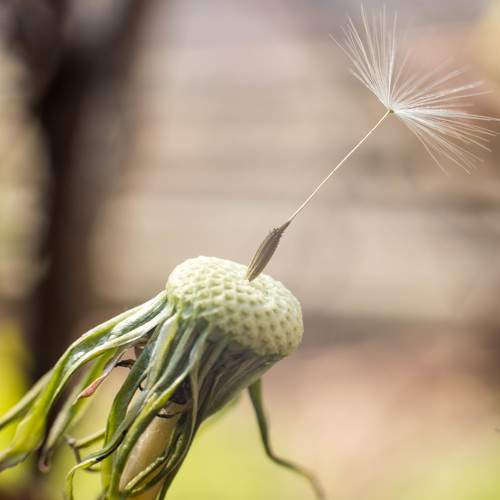 Photo #9756674