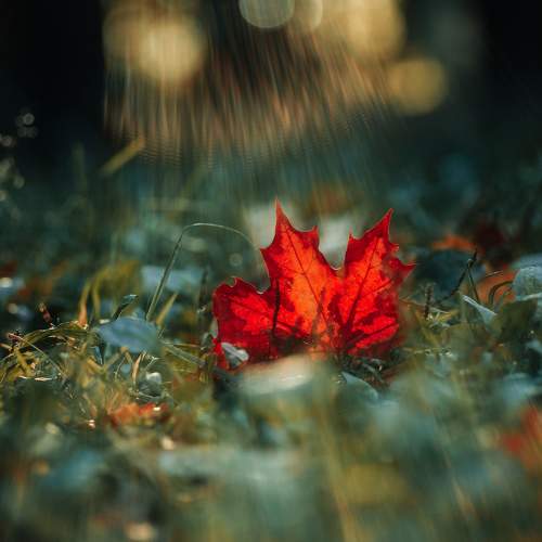 Photo #9756897