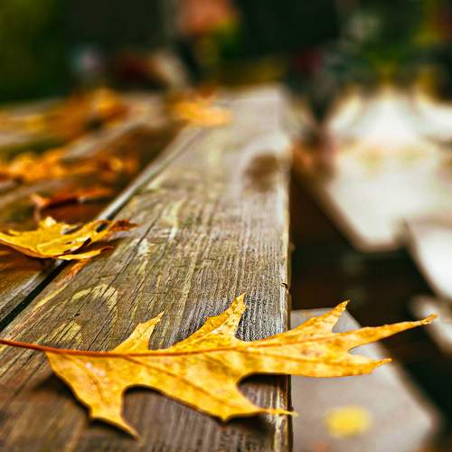 Photo #9756934