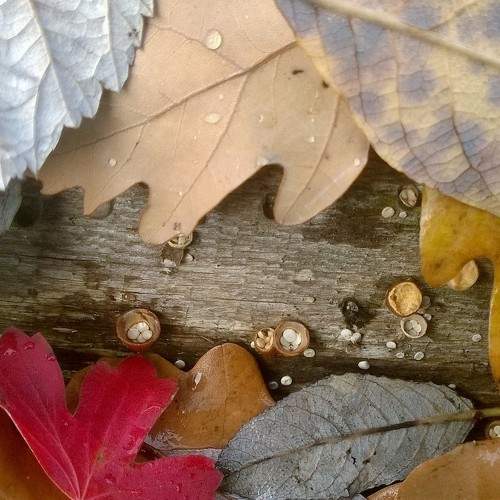 Photo #9757209