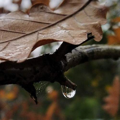 Photo #9757257