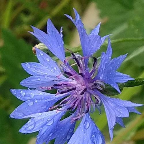 Photo #9757260