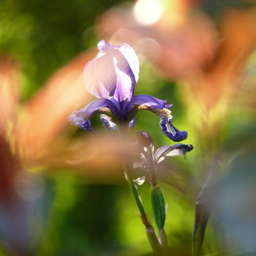 Photo #9757272