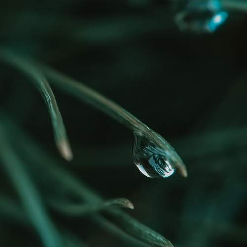 Photo #9757394