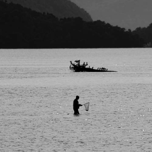 Photo #9757397