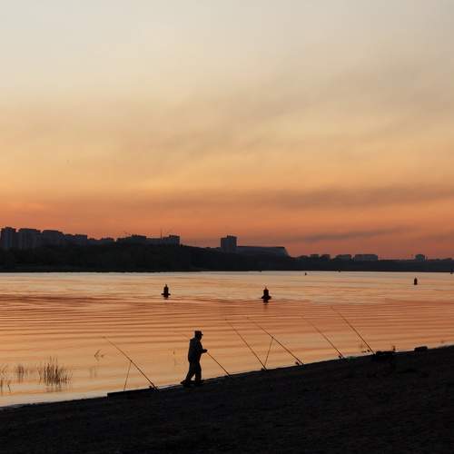 Photo #9757634