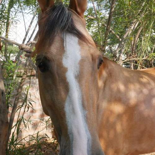 Photo #9757825