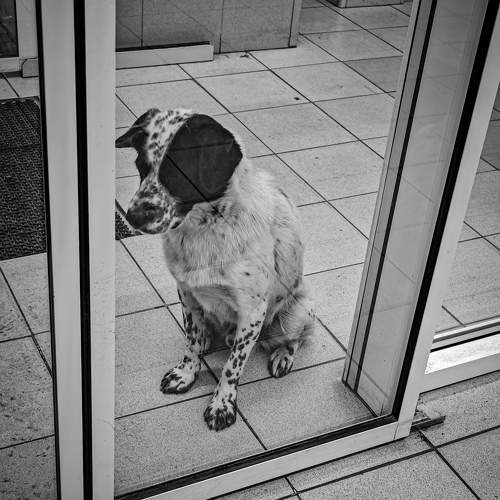Photo #9757916