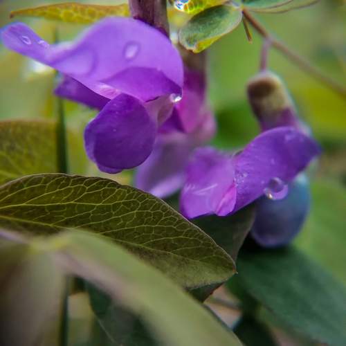 Photo #9757934