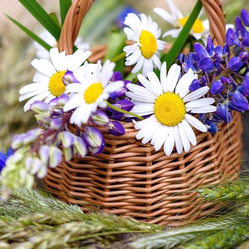 Photo #9757994