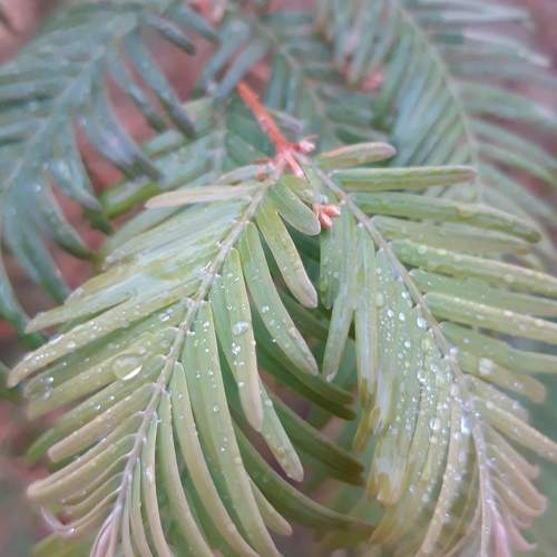 Photo #9758275
