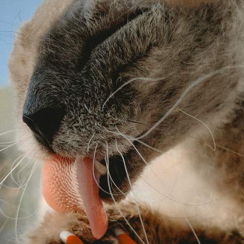 Photo #9758408