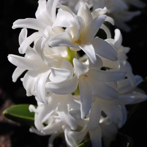 Photo #9758584