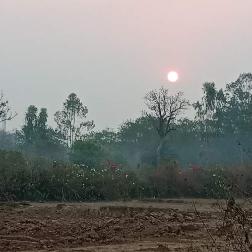 Nature of beuti