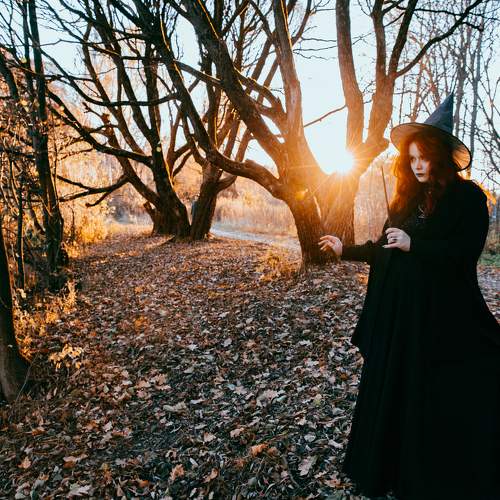 Photo #9759326