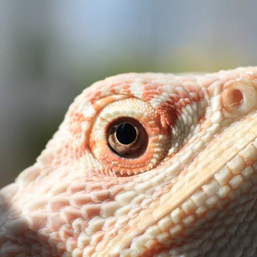 Photo #9759399