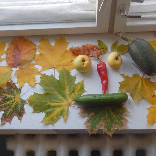 Photo #9759450